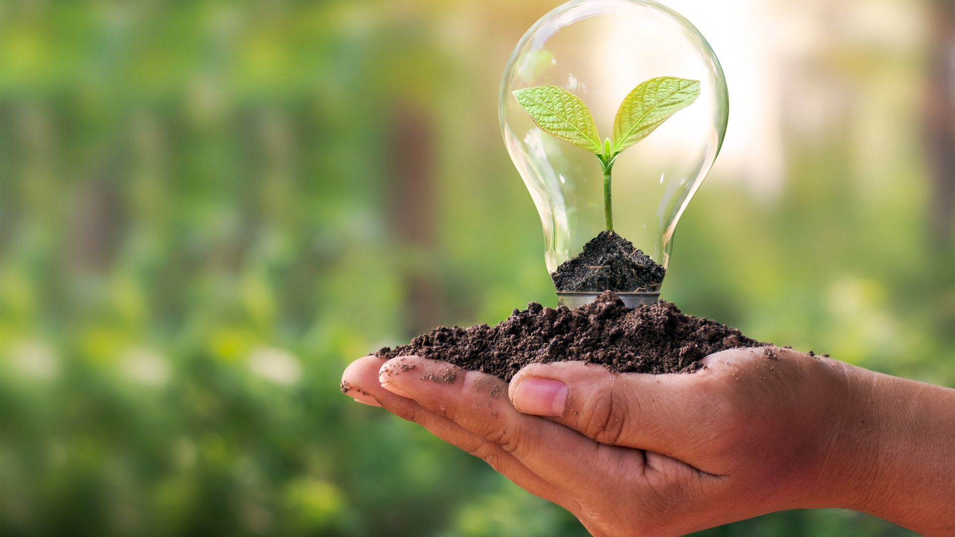 環保與永續發展 / Environmental Sustainability